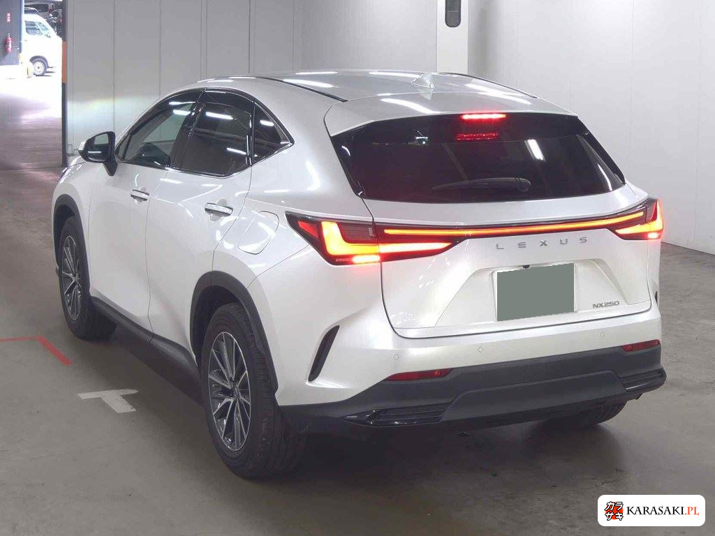 Lexus NX 2023 z aukcji japońskiej