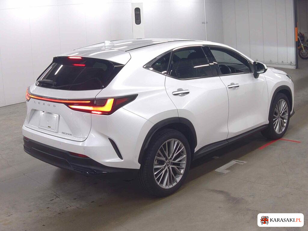 Lexus NX 2023 z aukcji japońskiej