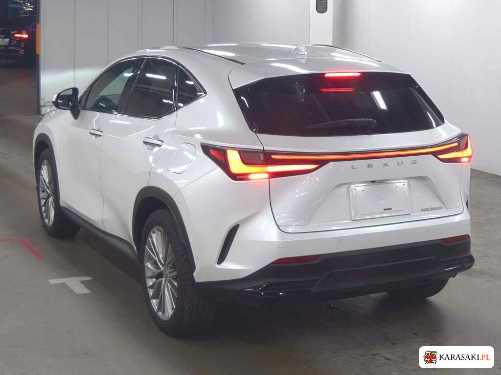 Lexus NX 2023 z aukcji japońskiej