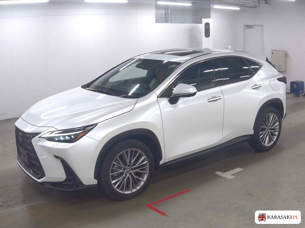 Lexus NX 2023 z aukcji japońskiej