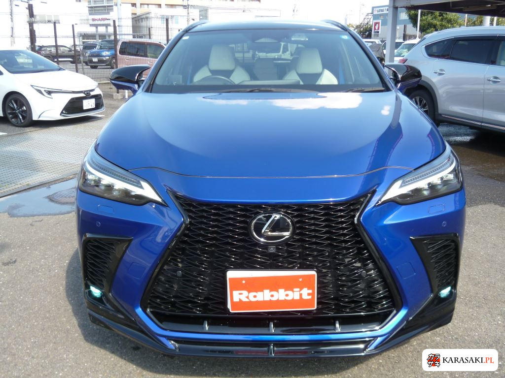 Lexus NX 2023 z aukcji japońskiej