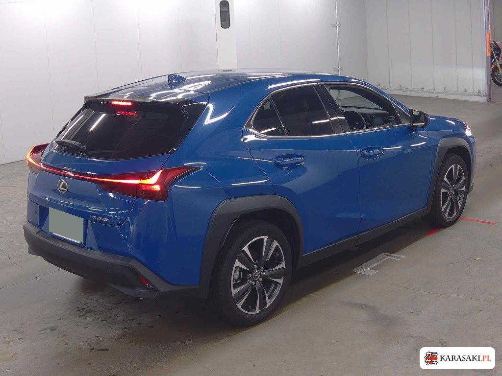 Lexus Ux 2023 z aukcji japońskiej