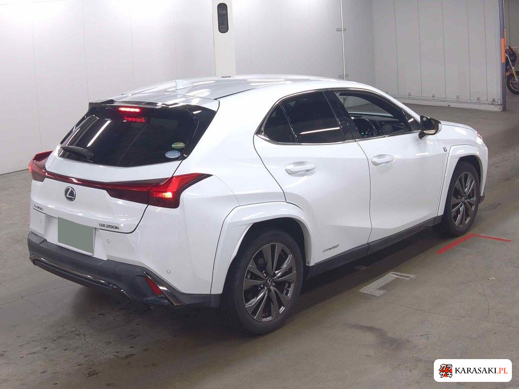 Lexus Ux 2020 z aukcji japońskiej