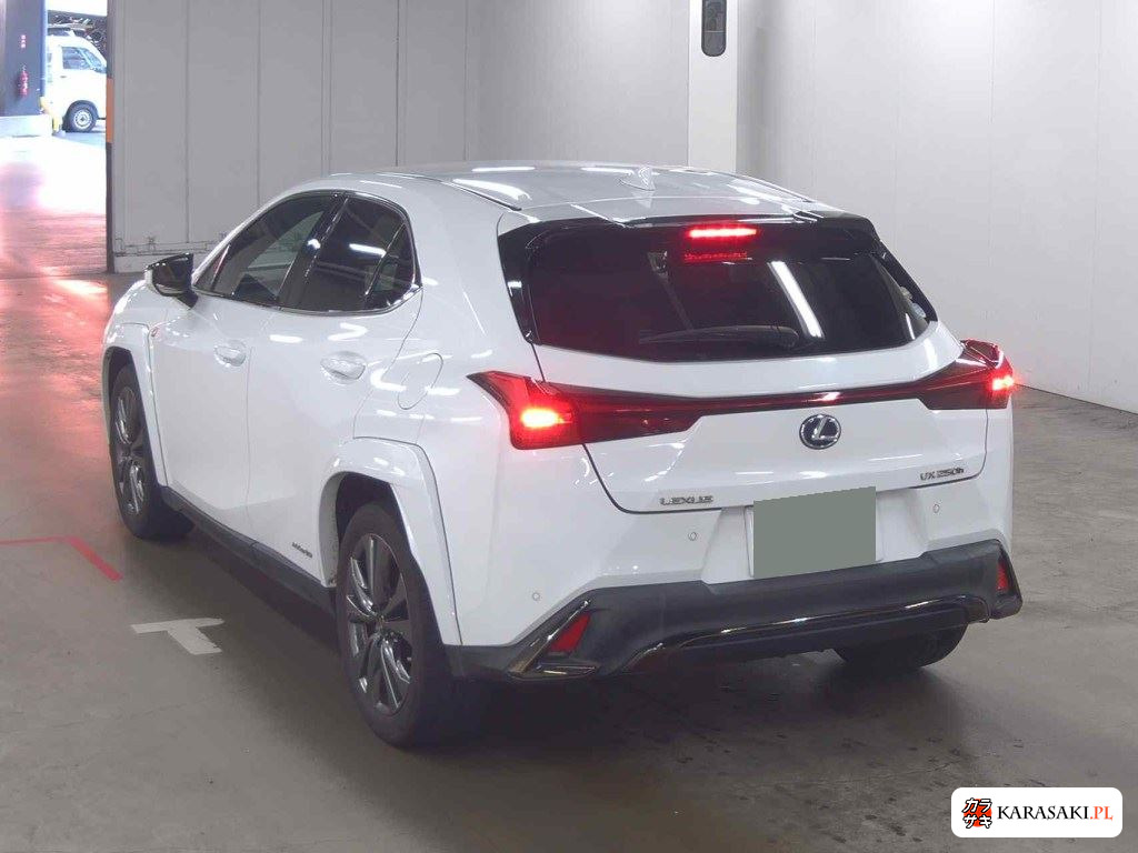 Lexus Ux 2020 z aukcji japońskiej