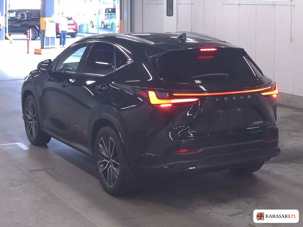 Lexus NX 2022 z aukcji japońskiej
