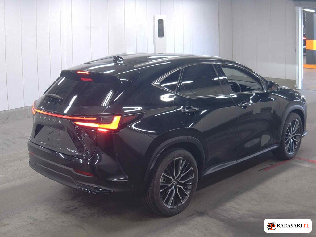 Lexus NX 2022 z aukcji japońskiej
