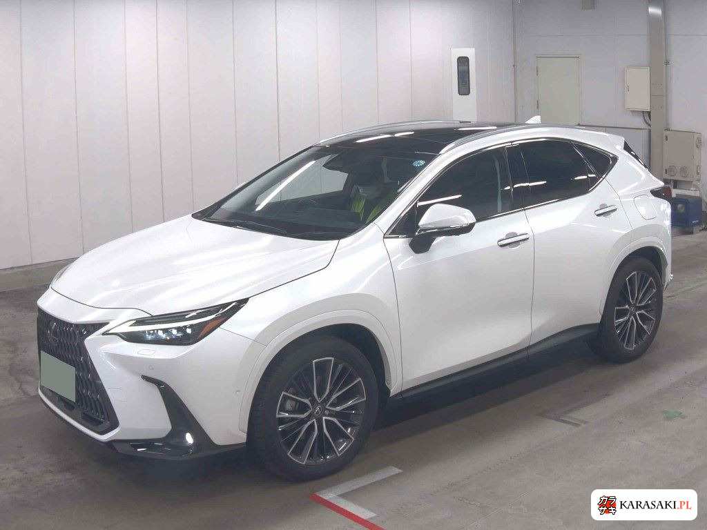 Lexus NX 2025 z aukcji japońskiej