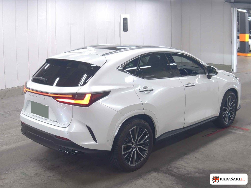 Lexus NX 2025 z aukcji japońskiej