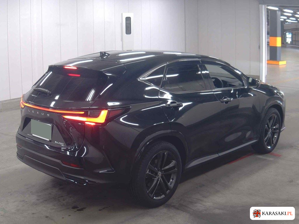 Lexus NX 2025 z aukcji japońskiej