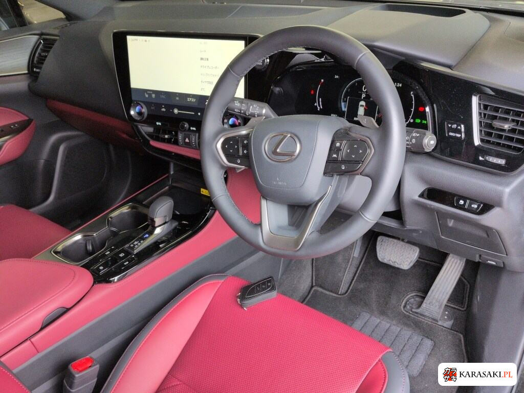 Lexus NX 2025 z aukcji japońskiej