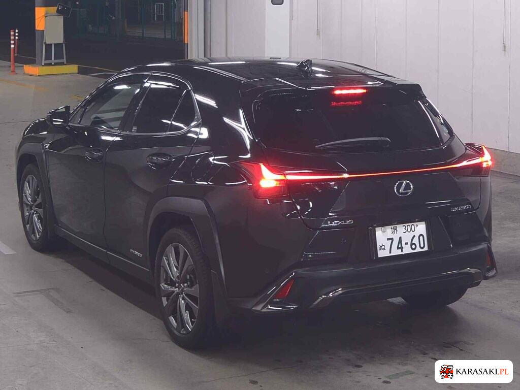 Lexus Ux 2019 z aukcji japońskiej