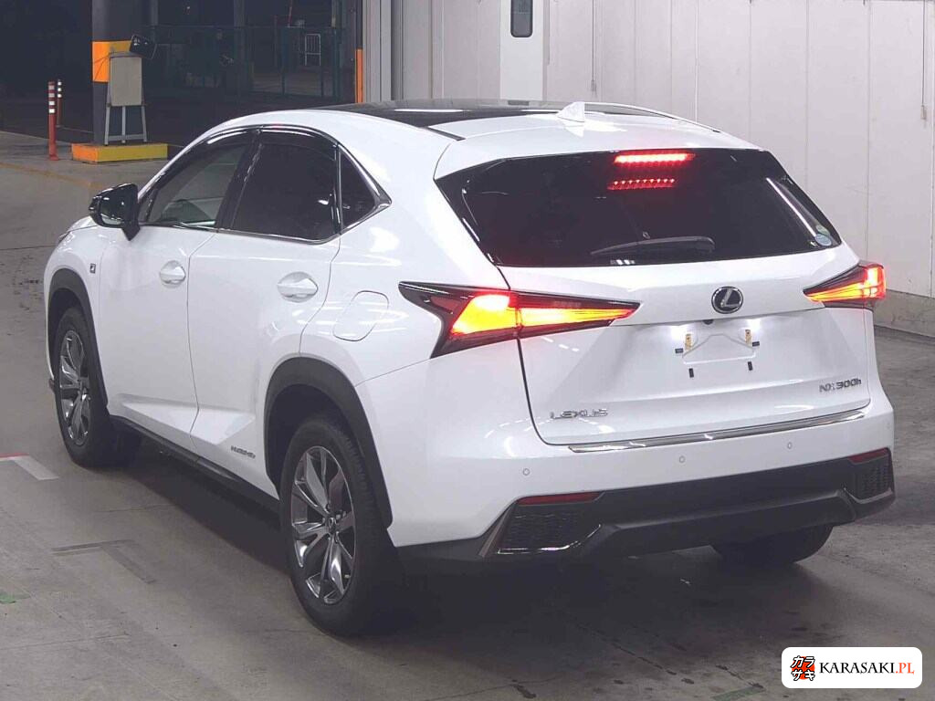 2019 Lexus NX NX300H F Sport 2