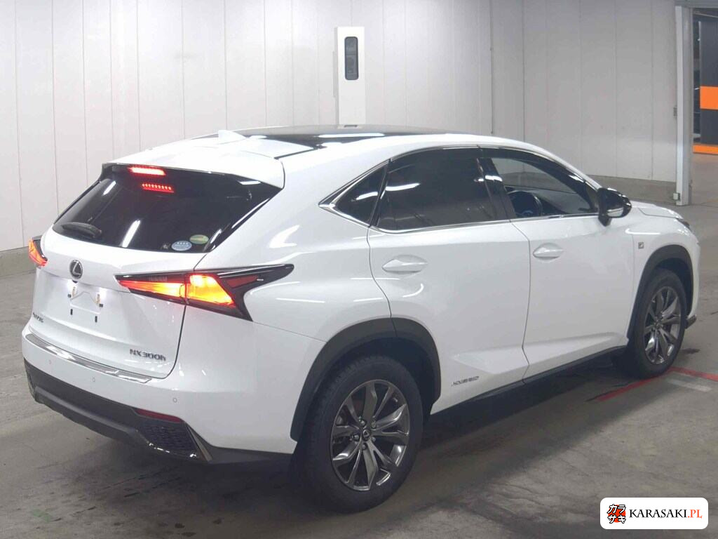 2019 Lexus NX NX300H F Sport 4