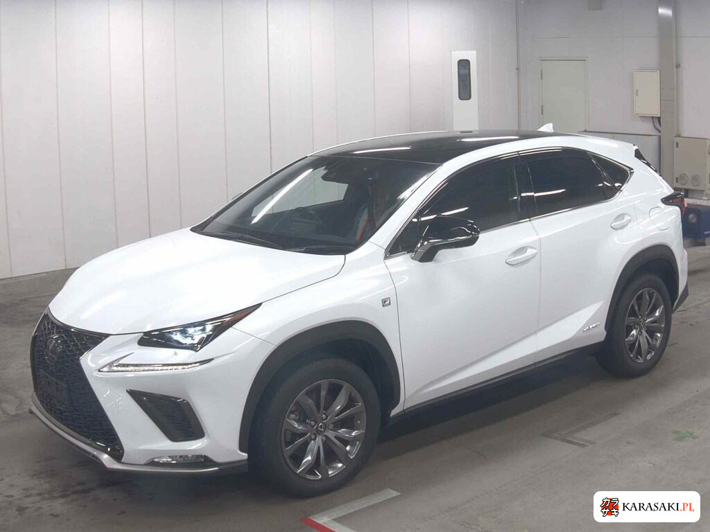2019 Lexus NX NX300H F Sport 3