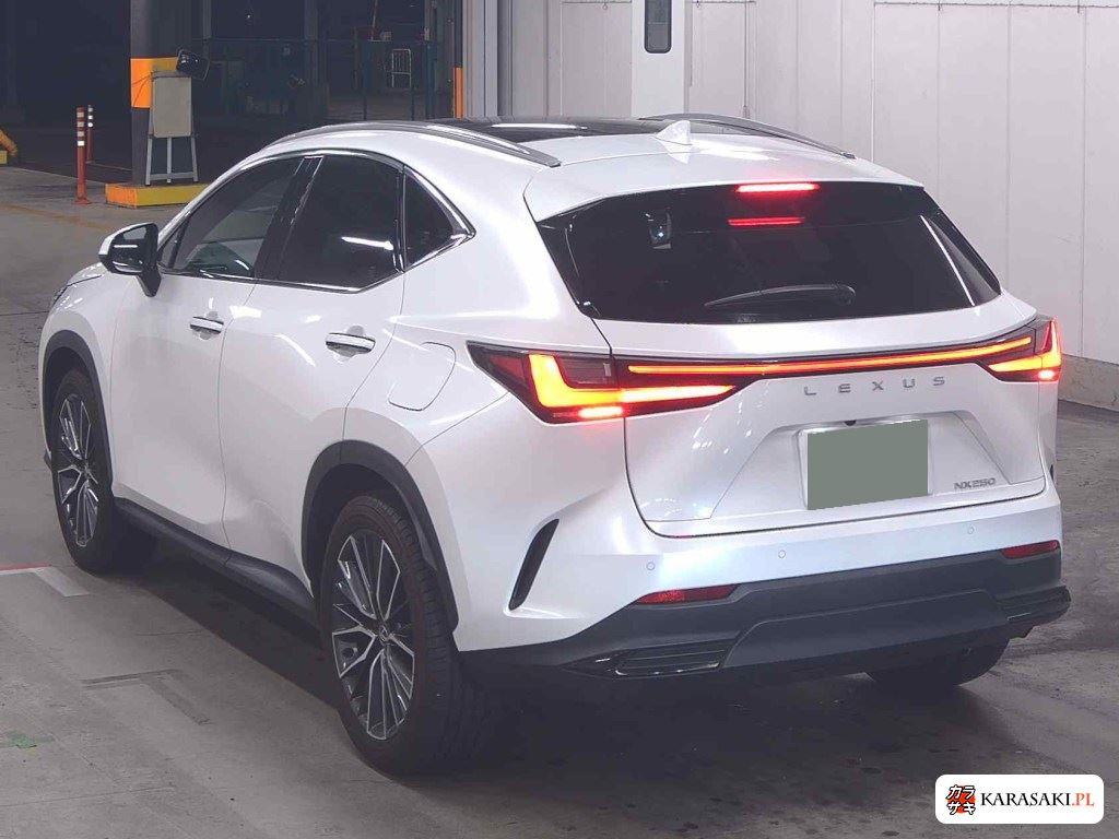 Lexus NX 2023 z aukcji japońskiej