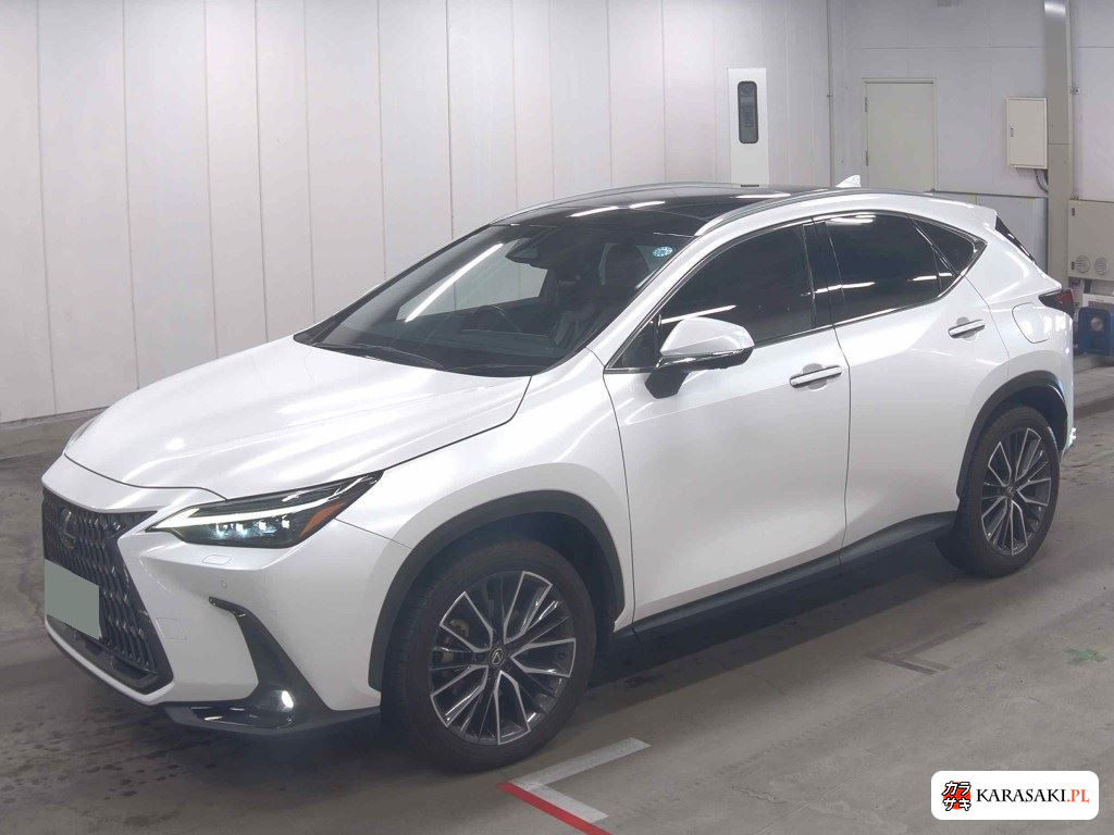 Lexus NX 2023 z aukcji japońskiej