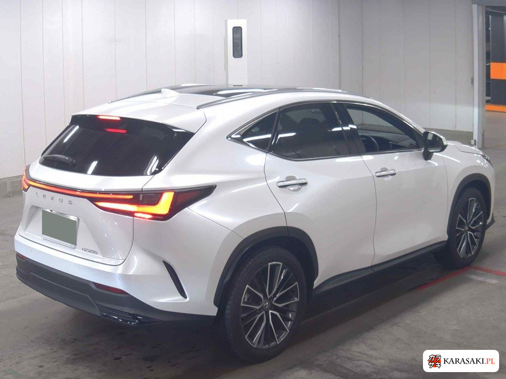 Lexus NX 2023 z aukcji japońskiej