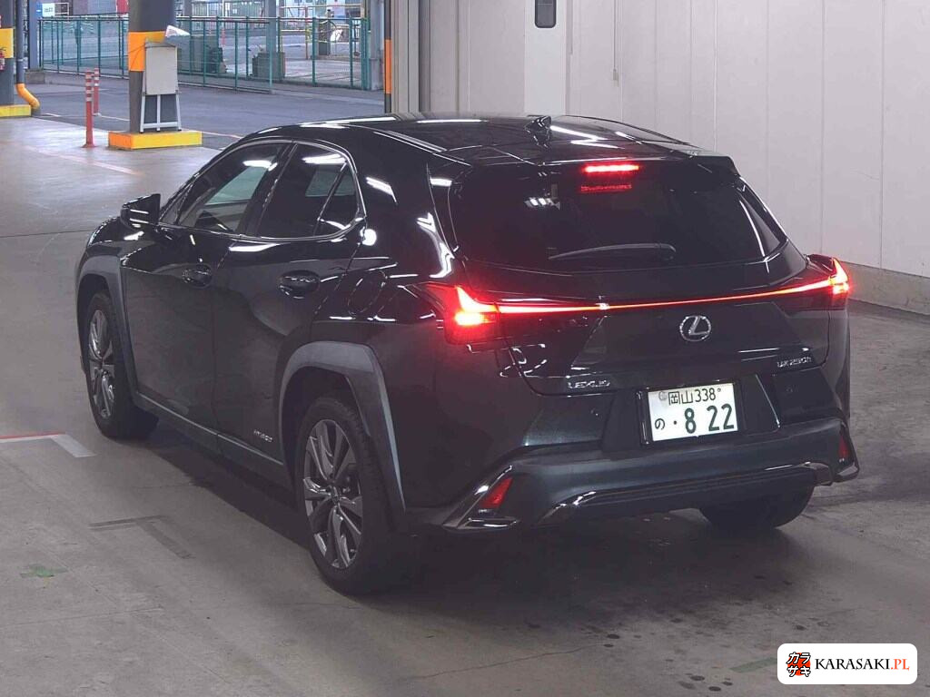 Lexus Ux 2020 z aukcji japońskiej