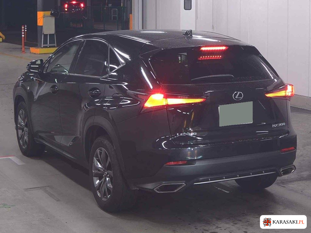 2018 Lexus NX NX300 F Sport 2