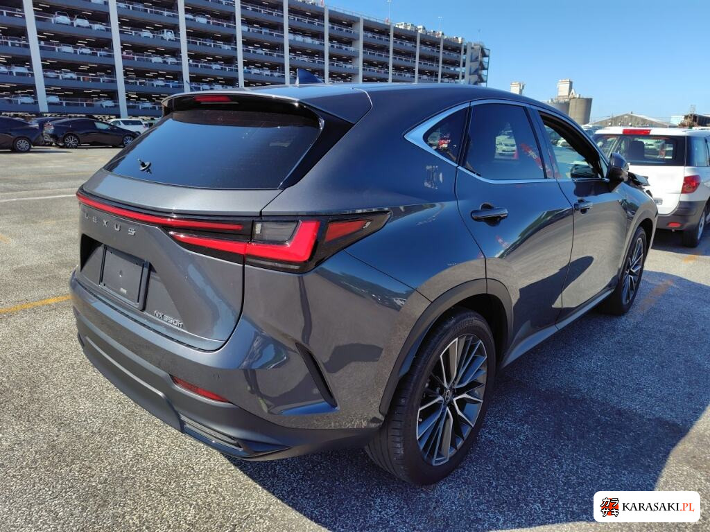 Lexus NX 2023 z aukcji japońskiej