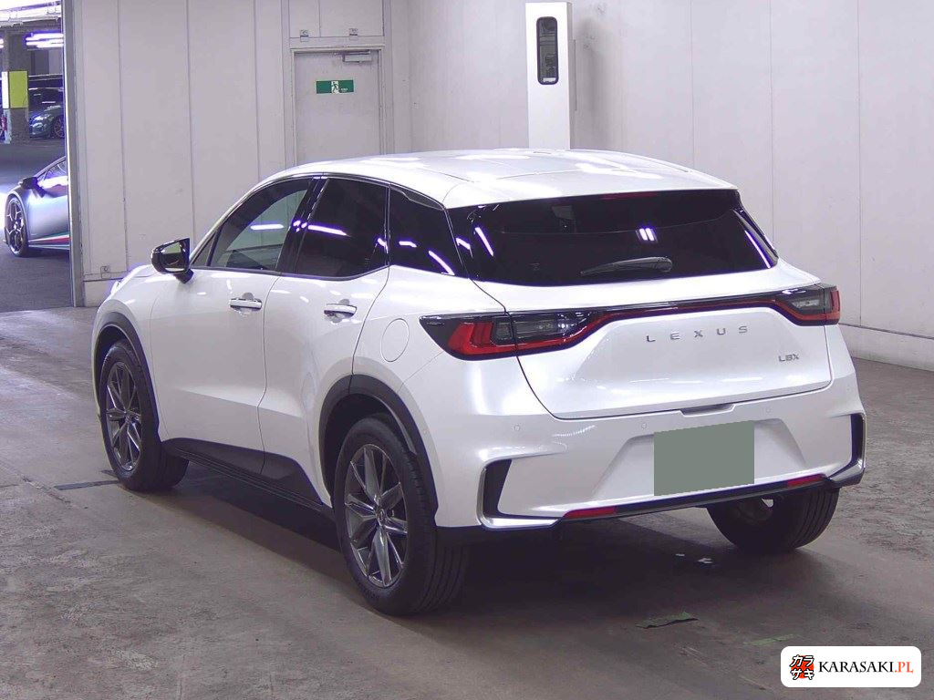 2024 Lexus LBX Relax 2