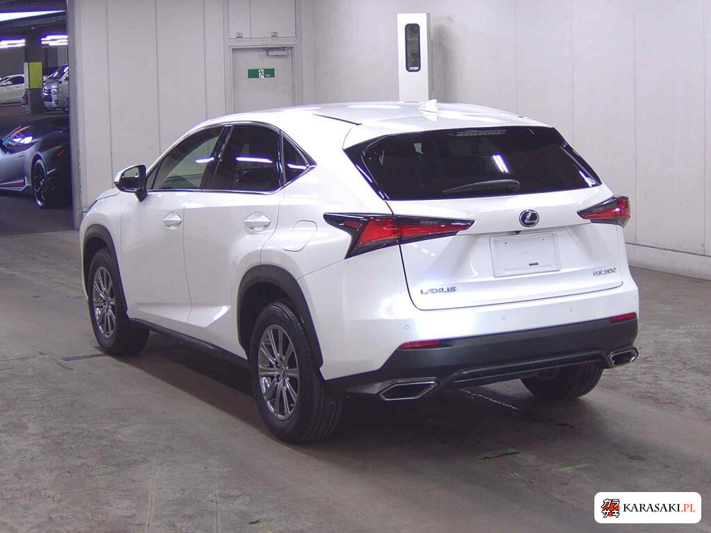 Lexus NX 2019 z aukcji japońskiej