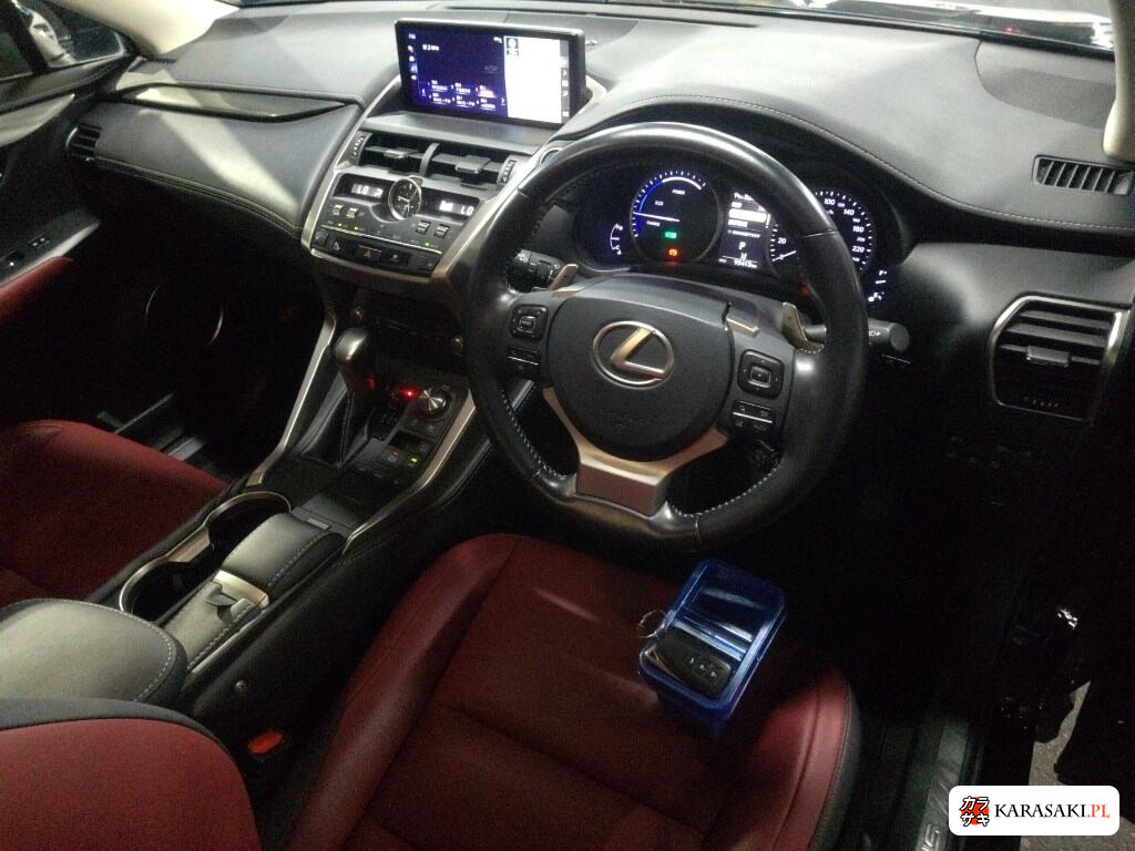 Lexus NX 2019 z aukcji japońskiej