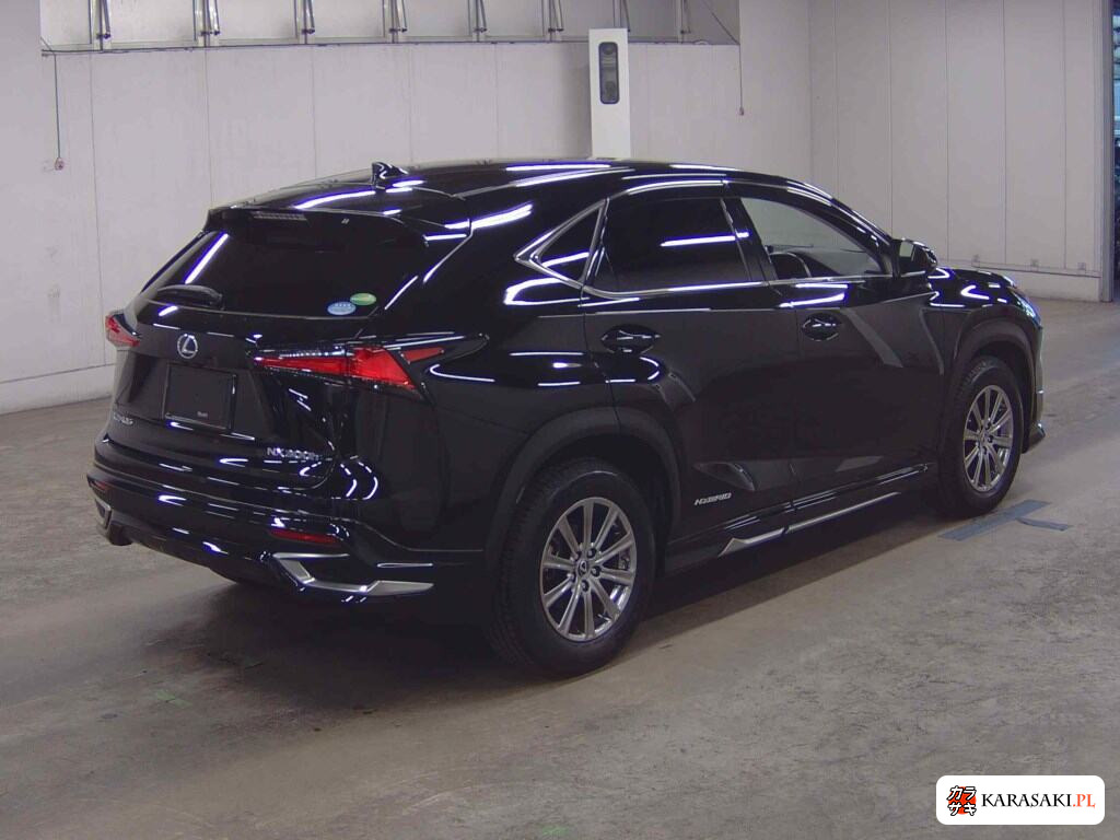 Lexus NX 2019 z aukcji japońskiej