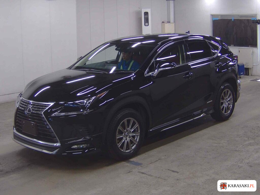 Lexus NX 2019 z aukcji japońskiej