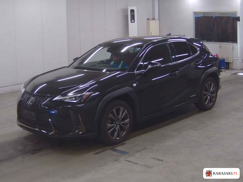 Lexus Ux 2019 z aukcji japońskiej