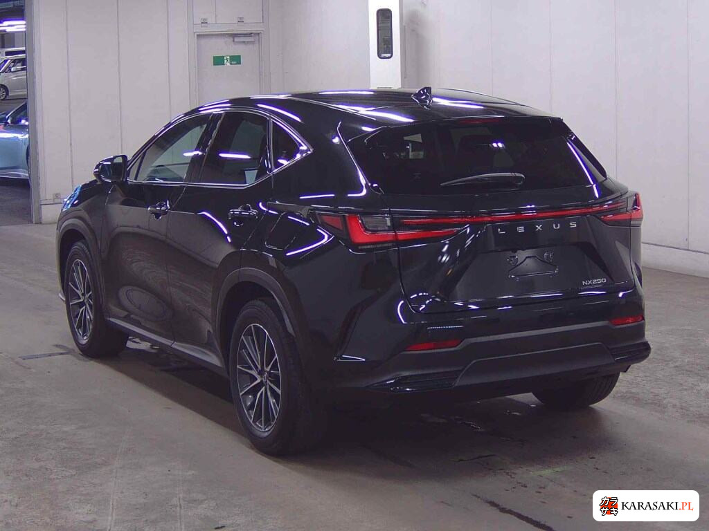 Lexus NX 2023 z aukcji japońskiej