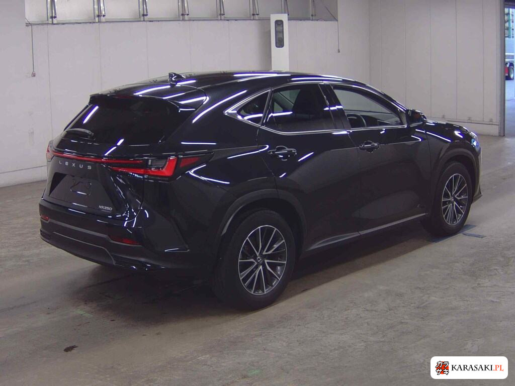 Lexus NX 2023 z aukcji japońskiej