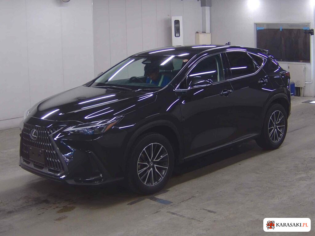 Lexus NX 2023 z aukcji japońskiej