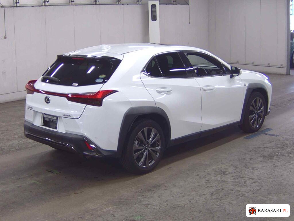 Lexus Ux 2019 z aukcji japońskiej