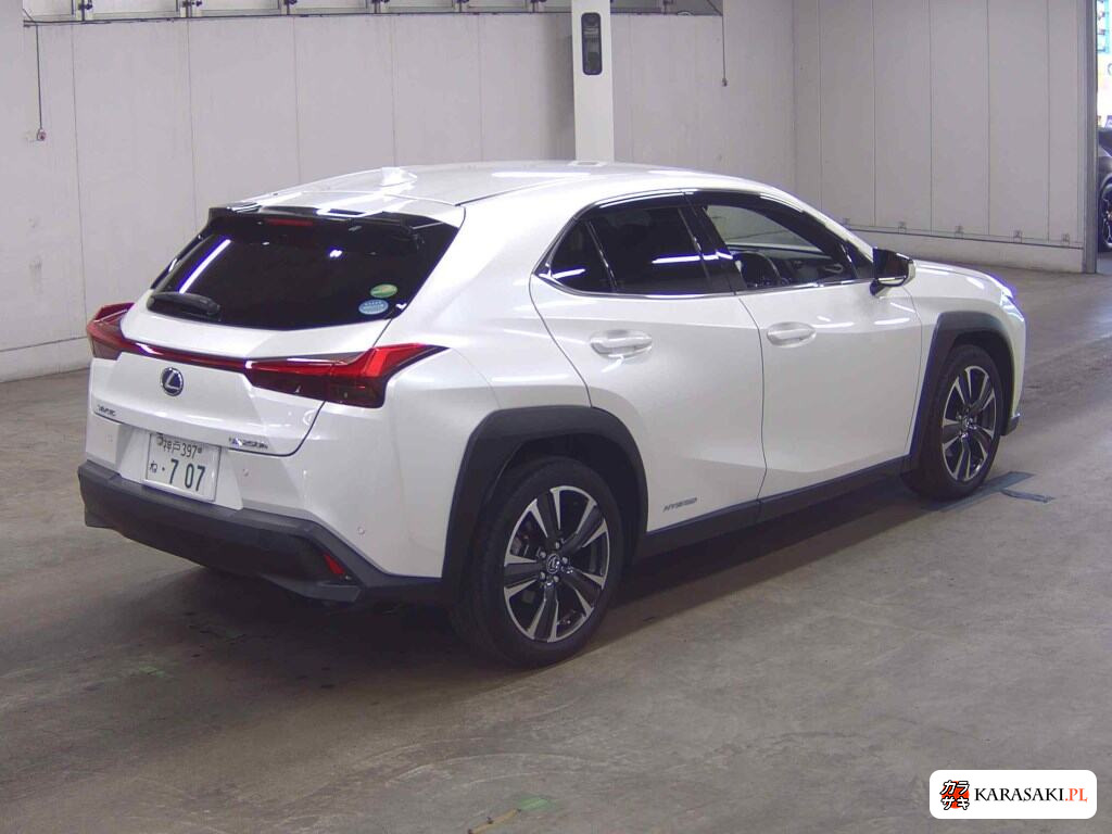 Lexus Ux 2020 z aukcji japońskiej