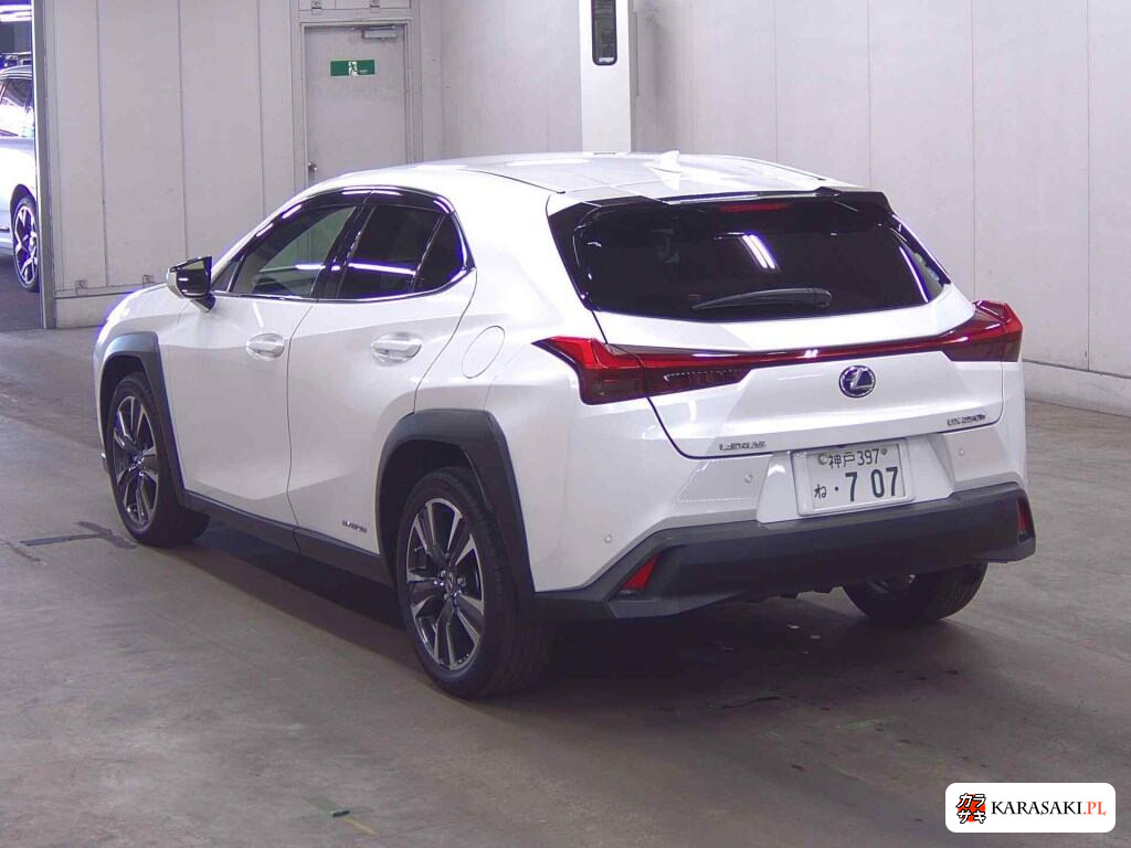 Lexus Ux 2020 z aukcji japońskiej