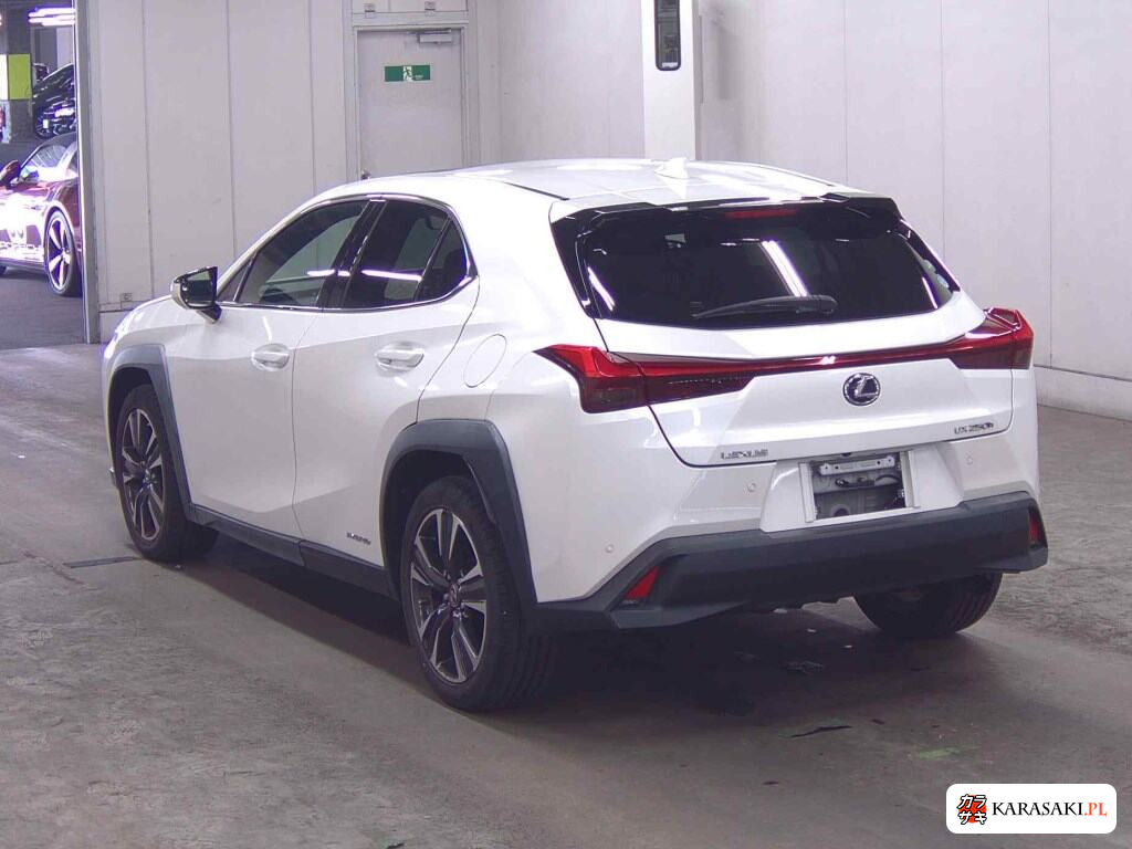 Lexus Ux 2019 z aukcji japońskiej