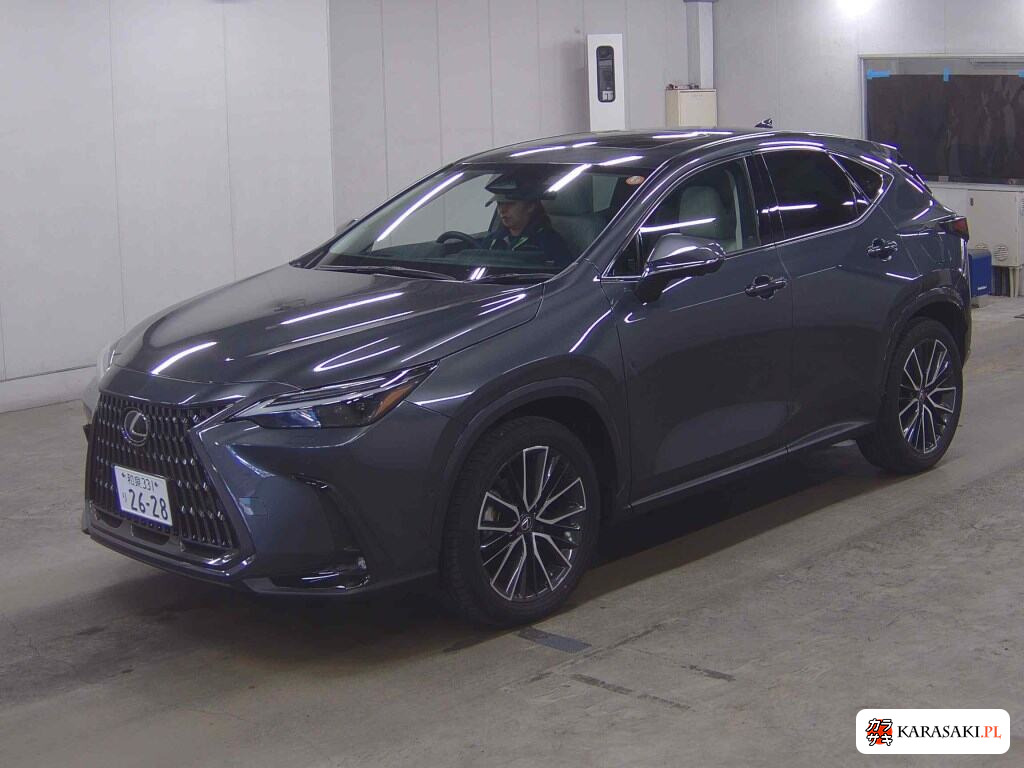 Lexus NX 2024 z aukcji japońskiej