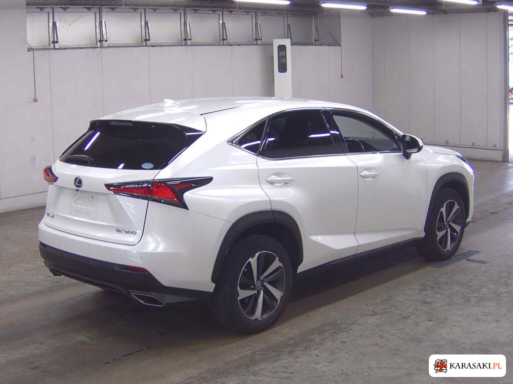 Lexus NX 2019 z aukcji japońskiej