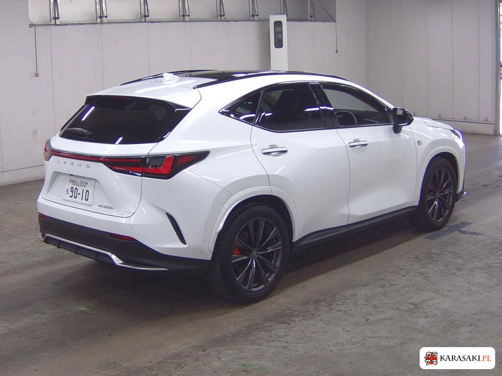 Lexus NX 2025 z aukcji japońskiej