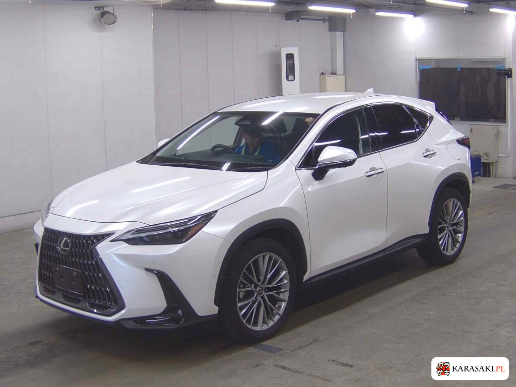 Lexus NX 2021 z aukcji japońskiej