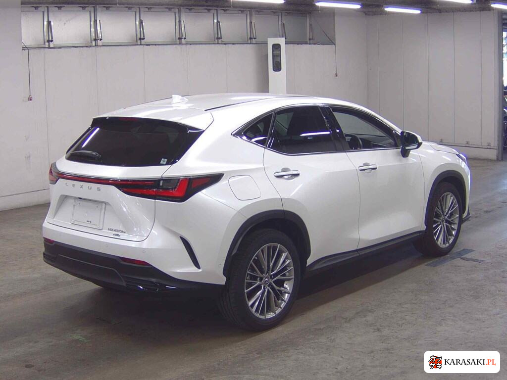 Lexus NX 2021 z aukcji japońskiej