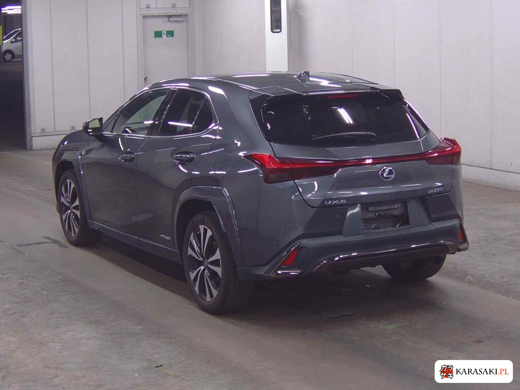 Lexus Ux 2022 z aukcji japońskiej
