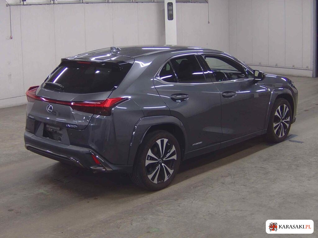 Lexus Ux 2022 z aukcji japońskiej