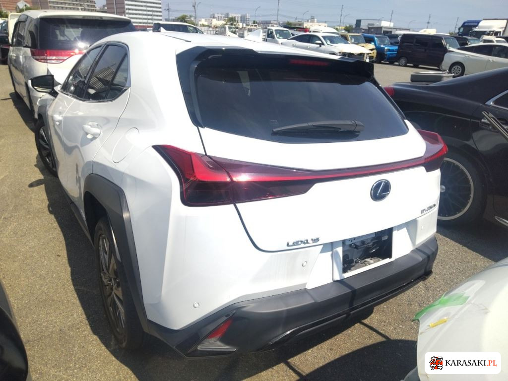 2019 Lexus Ux UX250H F Sport 2