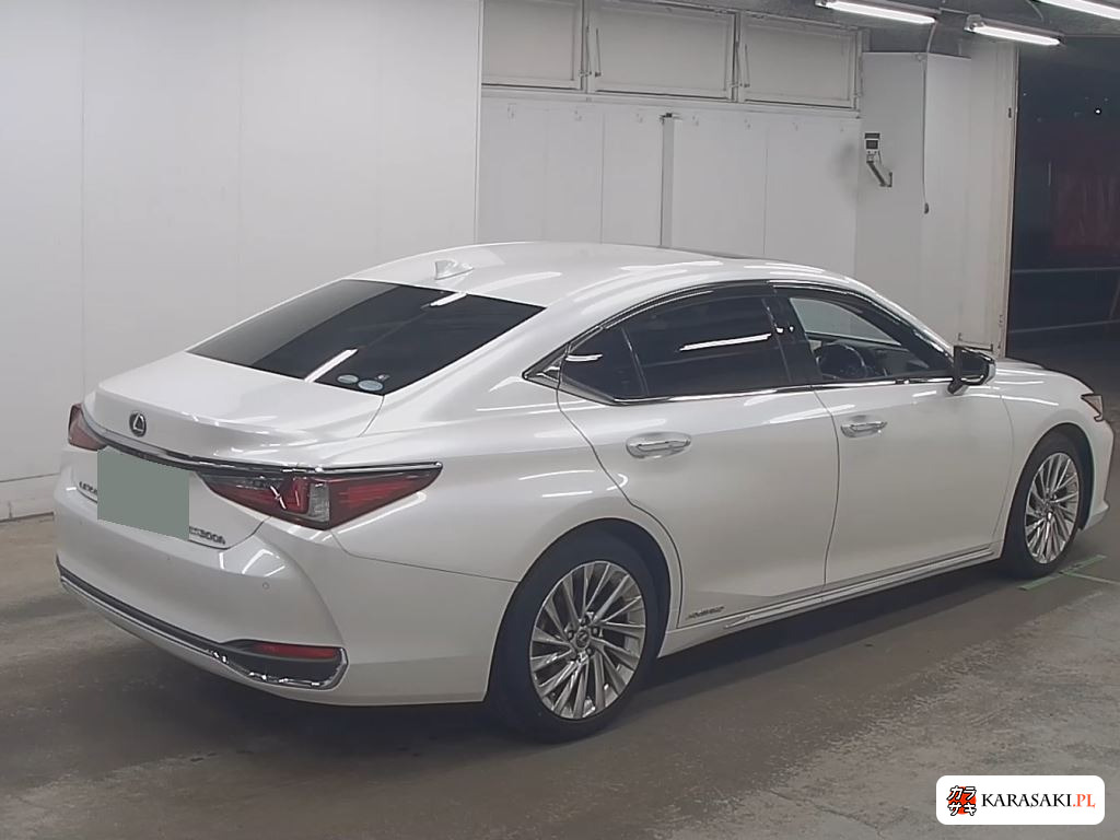 2020 Lexus Es ES300H Version L 4