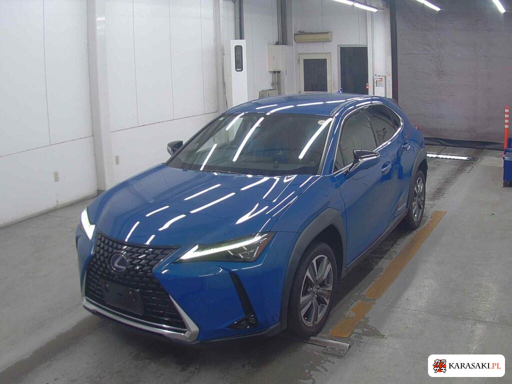 2021 Lexus UX300E Version C 3