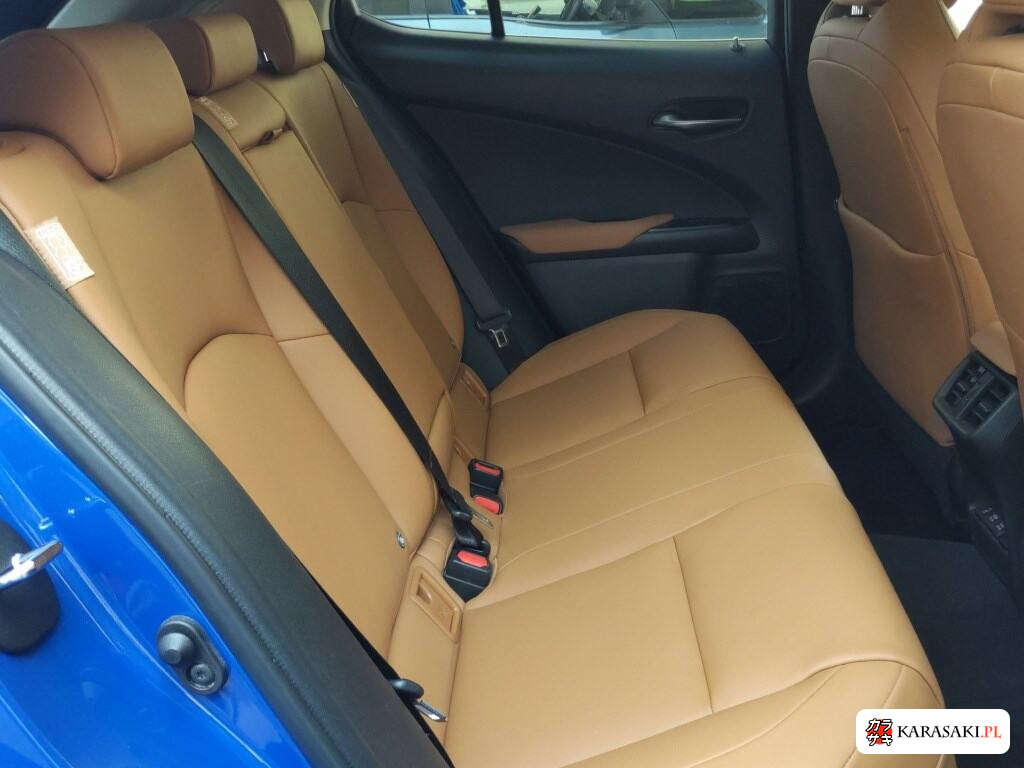 2021 Lexus UX300E Version C 6