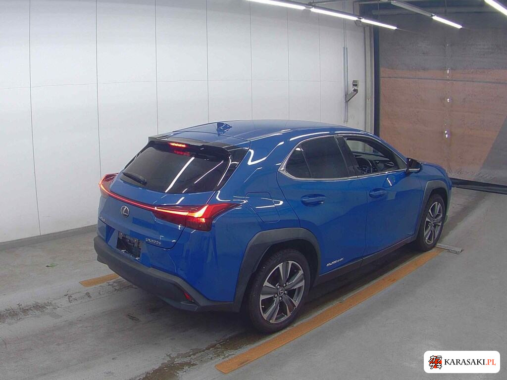 2021 Lexus UX300E Version C 4