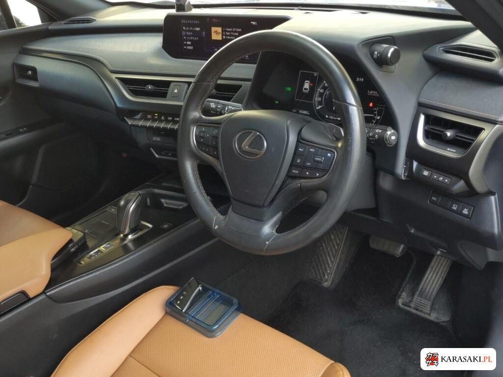 2021 Lexus UX300E Version C 5